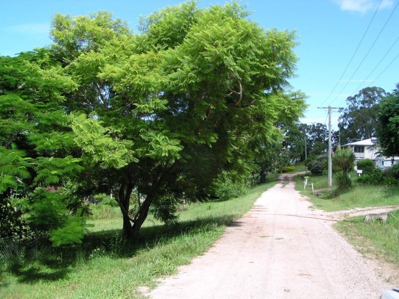 22 Pine Avenue, Lamb Island QLD 4184