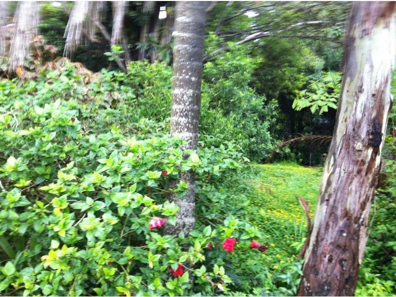 84 Lucas Drive, Lamb Island QLD 4184