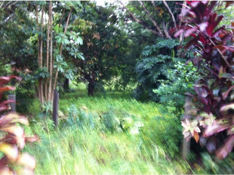 84 Lucas Drive, Lamb Island QLD 4184