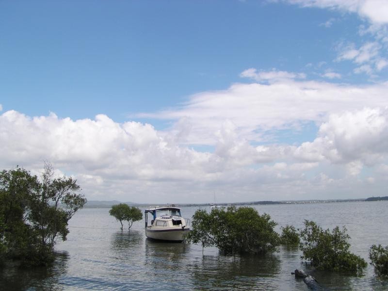 59 Coondooroopa Drive, Macleay Island QLD 4184