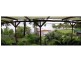 59 Coondooroopa Drive, Macleay Island QLD 4184