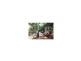 172 Treasure Island Avenue, Karragarra Island QLD 4184