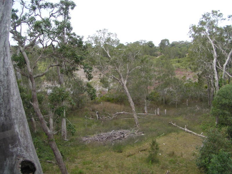 14 Timothy Street, Macleay Island QLD 4184