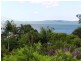 74 Perulpa Drive, Lamb Island QLD 4184