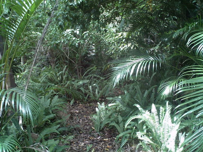 182 Kate, Macleay Island QLD 4184