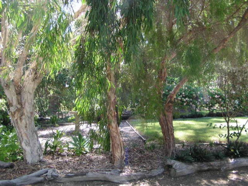 29 Leanne Street, Macleay Island QLD 4184