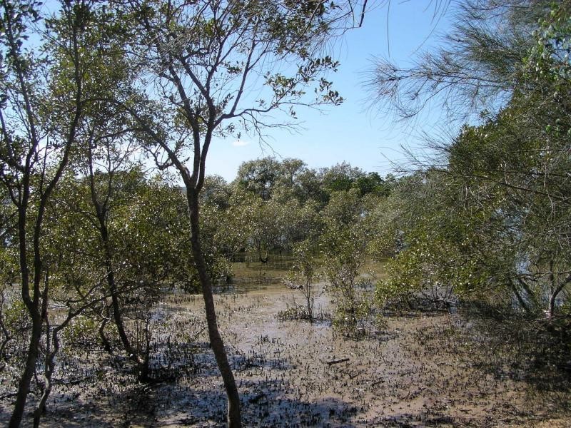 6 Atlantic Street, Lamb Island QLD 4184