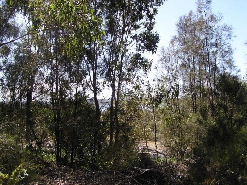 6 Atlantic Street, Lamb Island QLD 4184