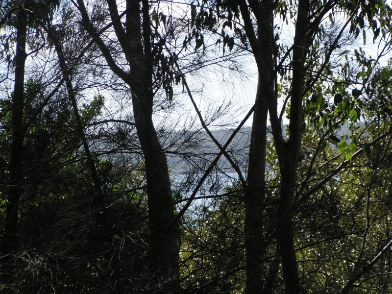 6 Atlantic Street, Lamb Island QLD 4184