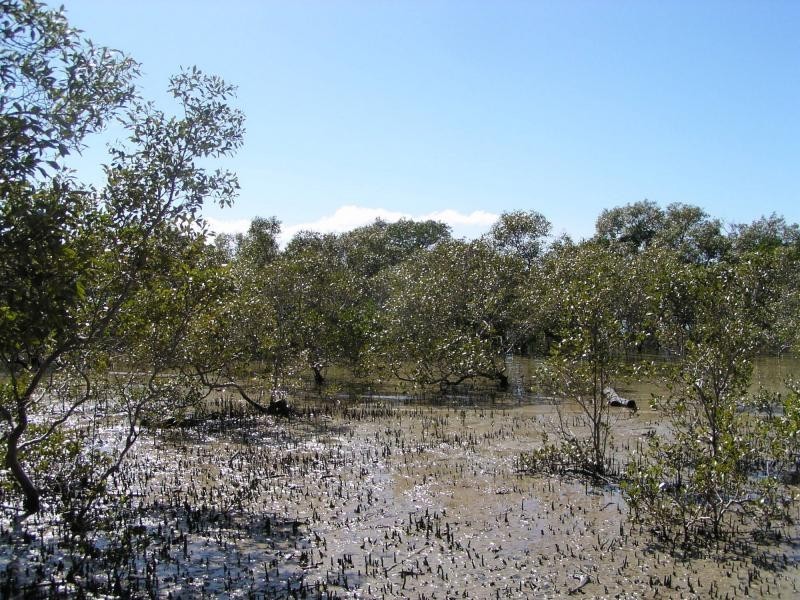 6 Atlantic Street, Lamb Island QLD 4184