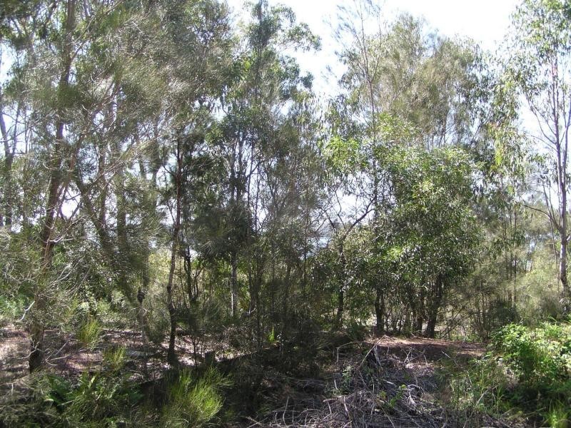 6 Atlantic Street, Lamb Island QLD 4184