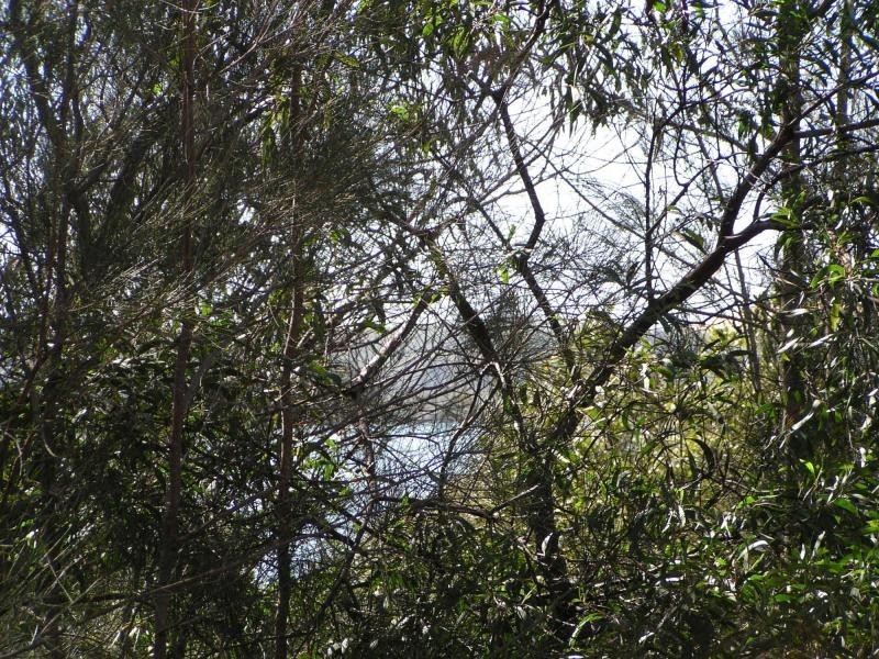 6 Atlantic Street, Lamb Island QLD 4184