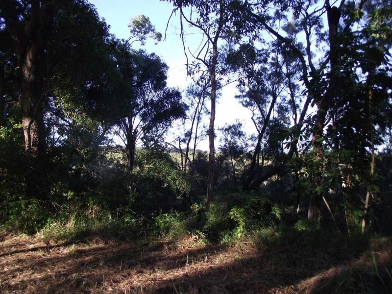 146 Treasure Island Avenue, Karragarra Island QLD 4184