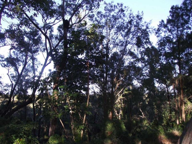 146 Treasure Island Avenue, Karragarra Island QLD 4184