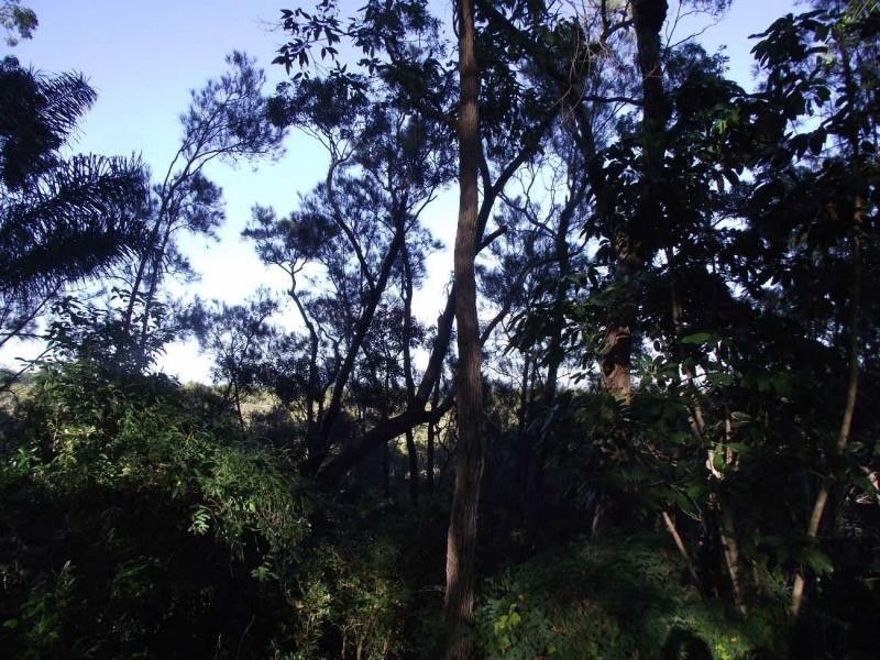 146 Treasure Island Avenue, Karragarra Island QLD 4184