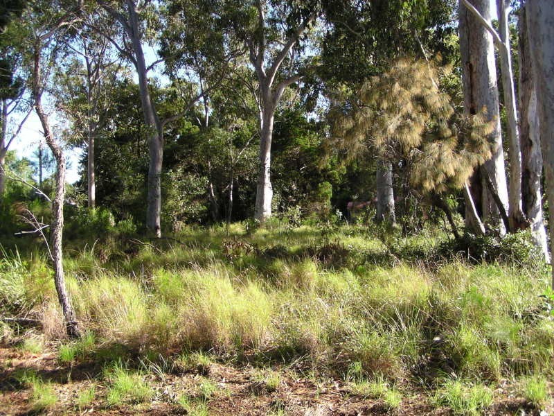 49 Treasure Island Avenue, Karragarra Island QLD 4184