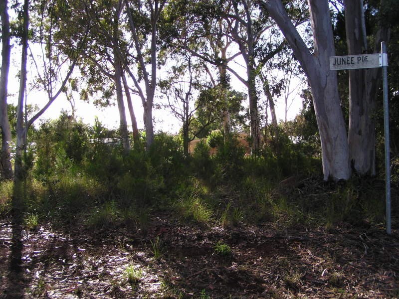 49 Treasure Island Avenue, Karragarra Island QLD 4184