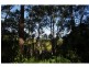 122 Treasure Island Avenue, Karragarra Island QLD 4184