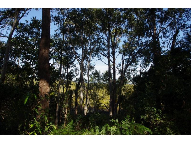 122 Treasure Island Avenue, Karragarra Island QLD 4184