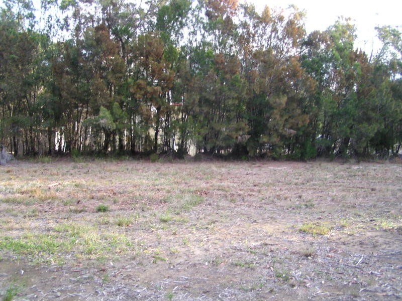8 Pelican Street, Macleay Island QLD 4184