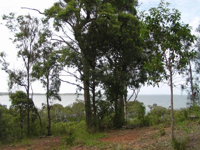 36 Goodsell Crescent, Lamb Island QLD 4184