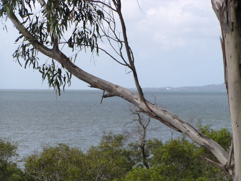 36 Goodsell Crescent, Lamb Island QLD 4184