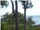54 Coondooroopa Drive, Macleay Island QLD 4184