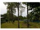 54 Coondooroopa Drive, Macleay Island QLD 4184