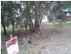 13 Coast Road, Macleay Island QLD 4184