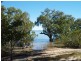 13 Coast Road, Macleay Island QLD 4184