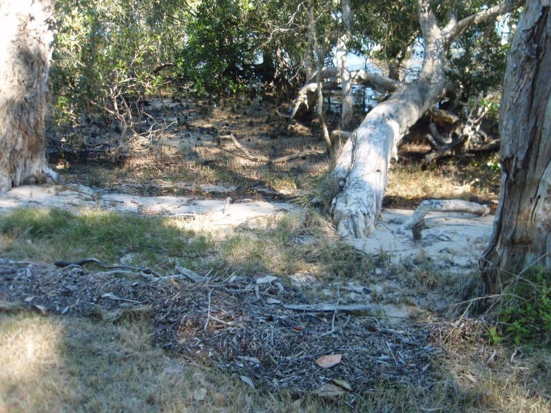 13 Coast Road, Macleay Island QLD 4184