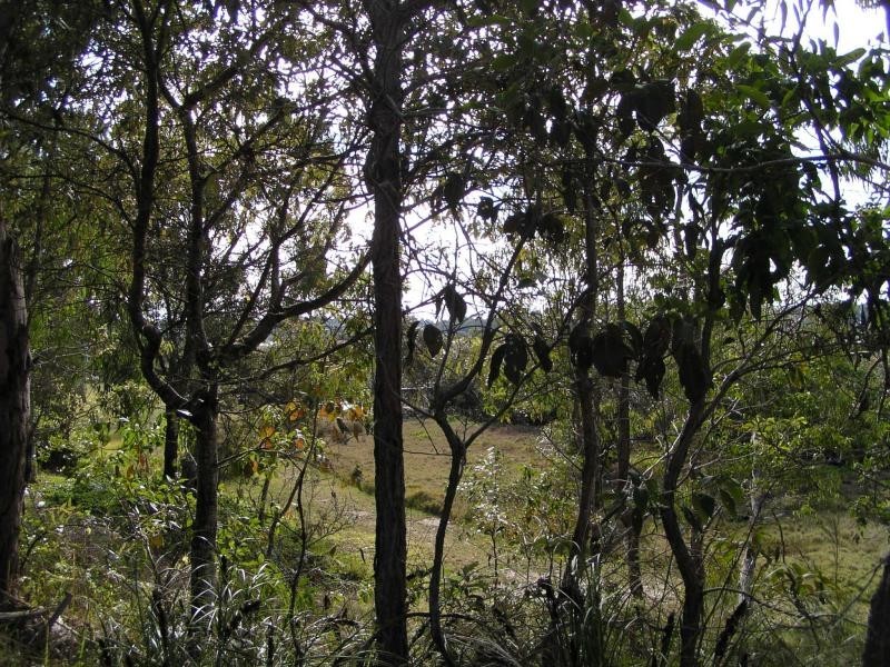 24 The Esplanade, Karragarra Island QLD 4184