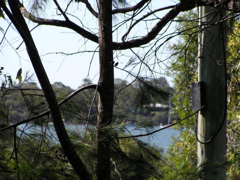 24 The Esplanade, Karragarra Island QLD 4184