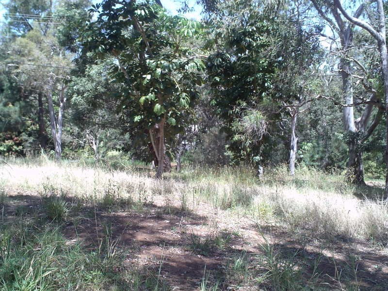 37 Nectar Street, Lamb Island QLD 4184