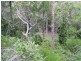 12 Emita Street, Macleay Island QLD 4184