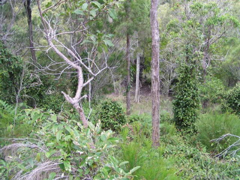 12 Emita Street, Macleay Island QLD 4184