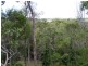 12 Emita Street, Macleay Island QLD 4184