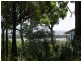 17 Brolga Avenue, Macleay Island QLD 4184