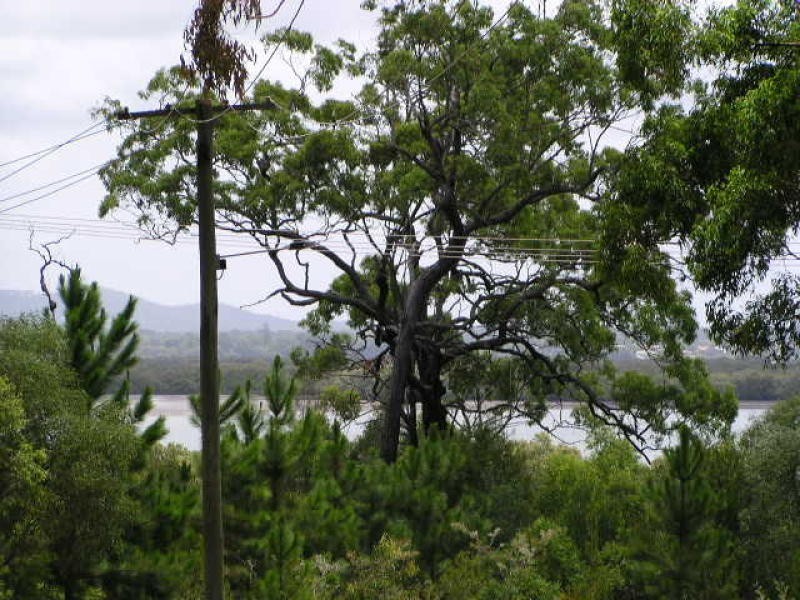17 Brolga Avenue, Macleay Island QLD 4184