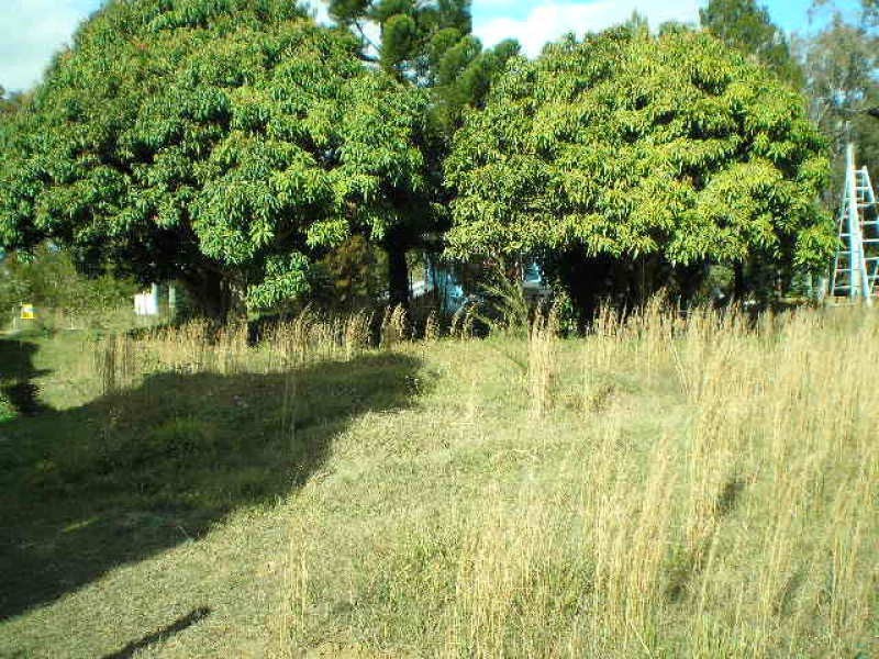 7 Hilda Street, Macleay Island QLD 4184