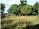 7 Hilda Street, Macleay Island QLD 4184