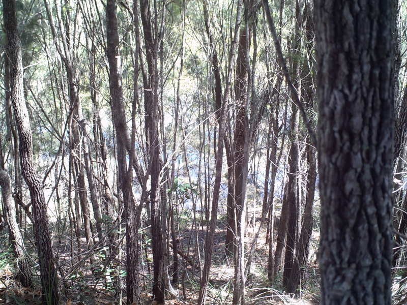 14 Calm Waters, Macleay Island QLD 4184