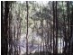 14 Calm Waters, Macleay Island QLD 4184