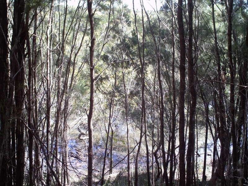 14 Calm Waters, Macleay Island QLD 4184
