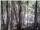 14 Calm Waters, Macleay Island QLD 4184