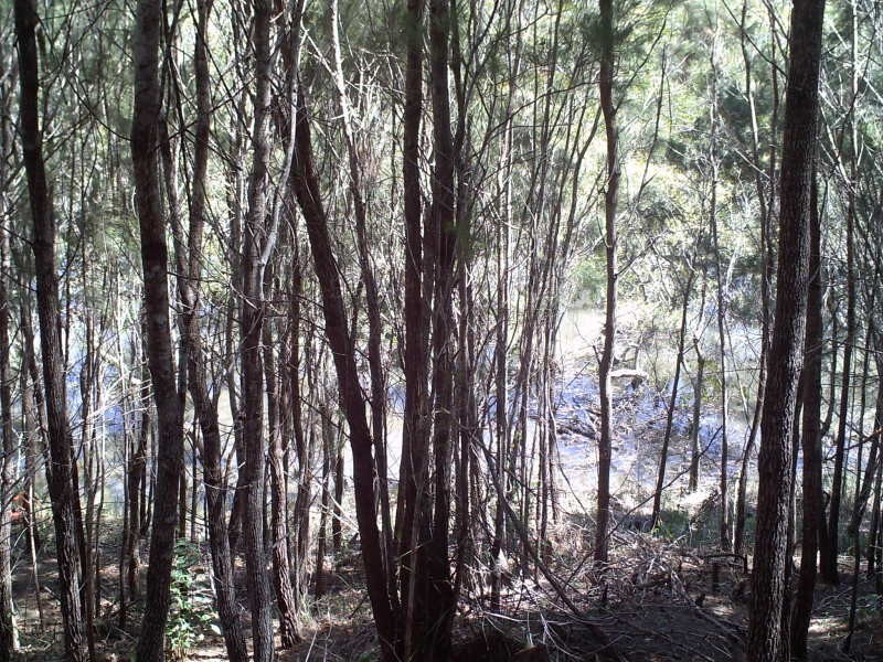 14 Calm Waters, Macleay Island QLD 4184