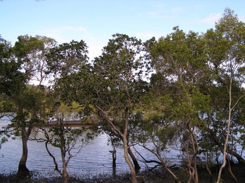 30 Deviot street, Macleay Island QLD 4184