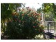 6 Lemontree Drive, Macleay Island QLD 4184