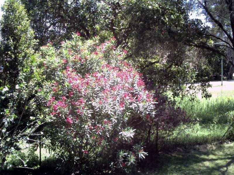 11 Michiko Street, Macleay Island QLD 4184