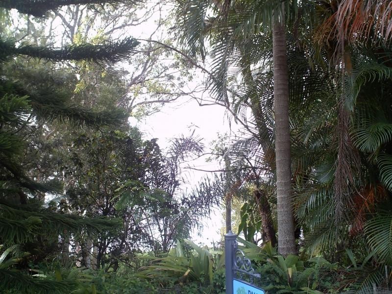 46 attunga street, Macleay Island QLD 4184
